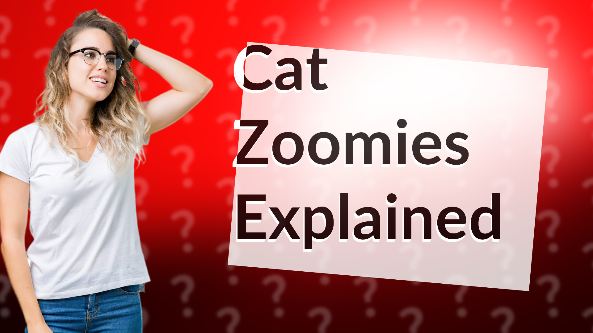 Cat Zoomies Explained