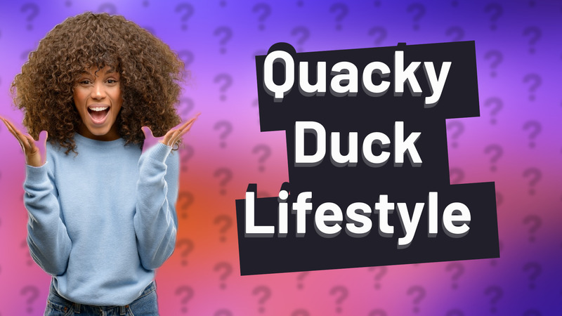 Quacky Duck Lifestyle