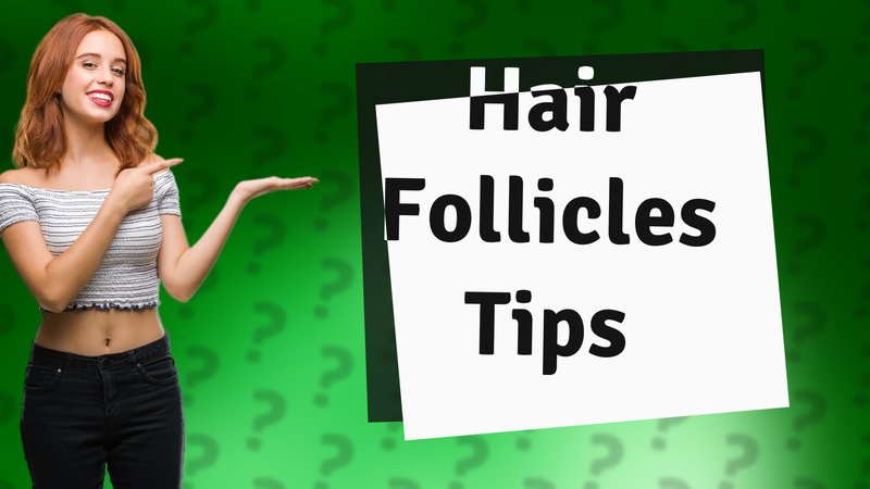 Hair Follicles Tips