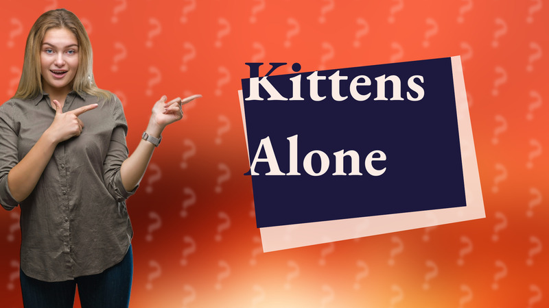 Kittens Alone