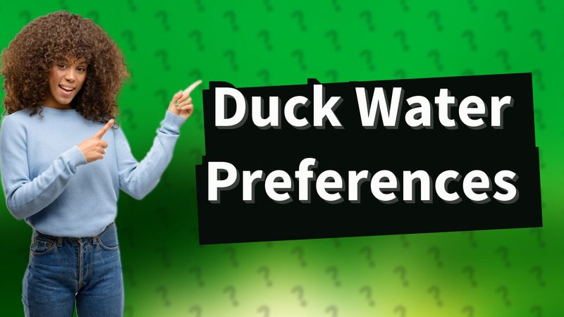 Duck Water Preferences