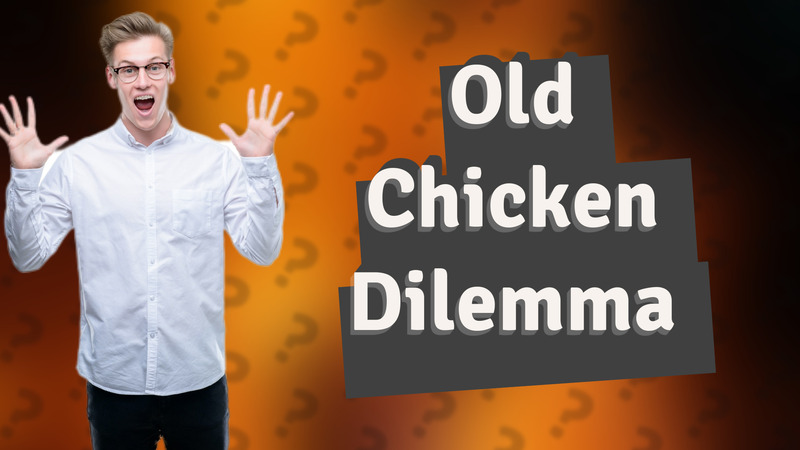 Old Chicken Dilemma