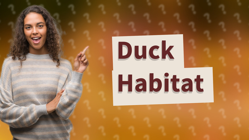 Duck Habitat