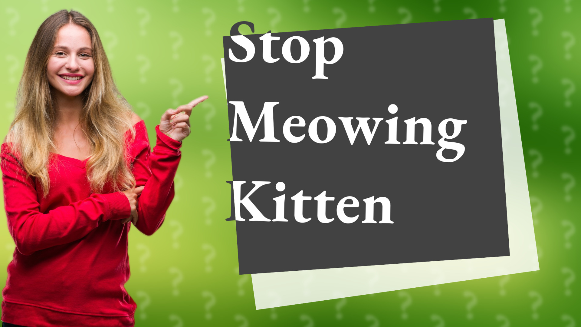 Stop Meowing Kitten