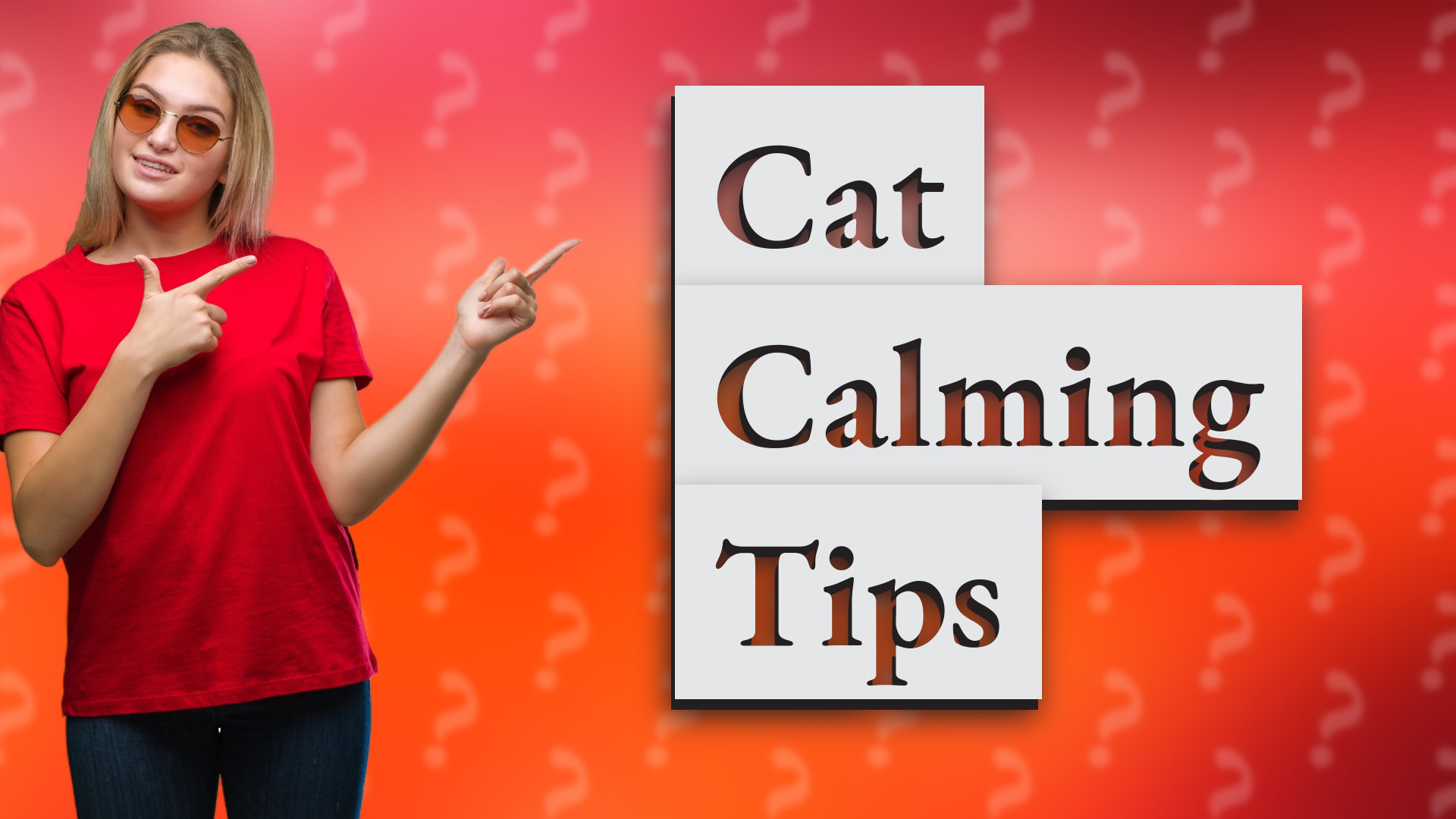 Cat Calming Tips