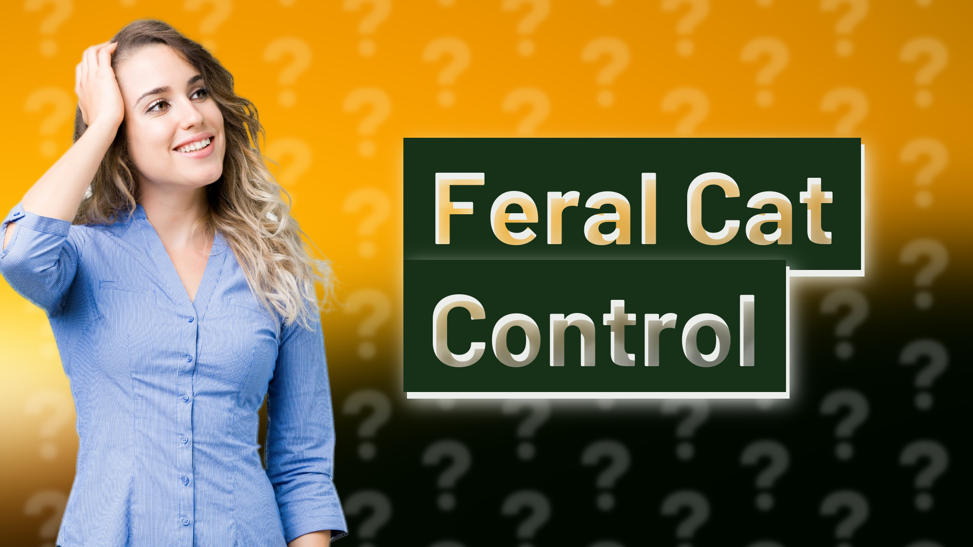 Feral Cat Control