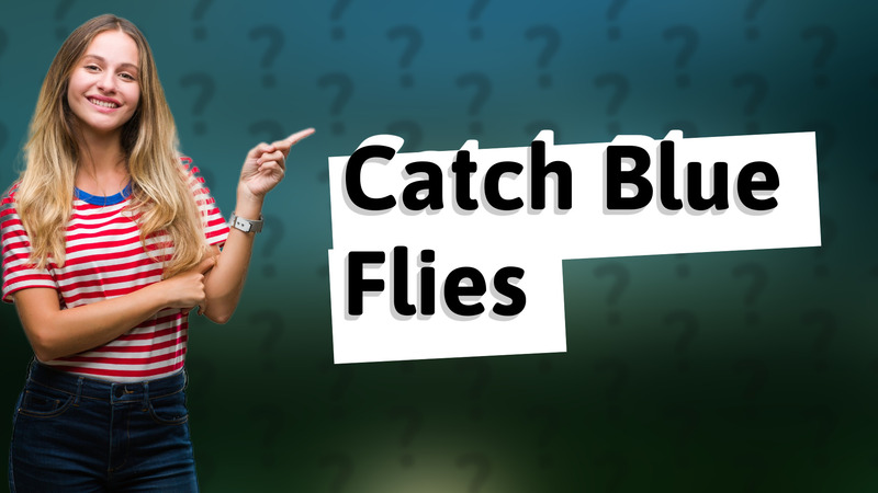 Catch Blue Flies