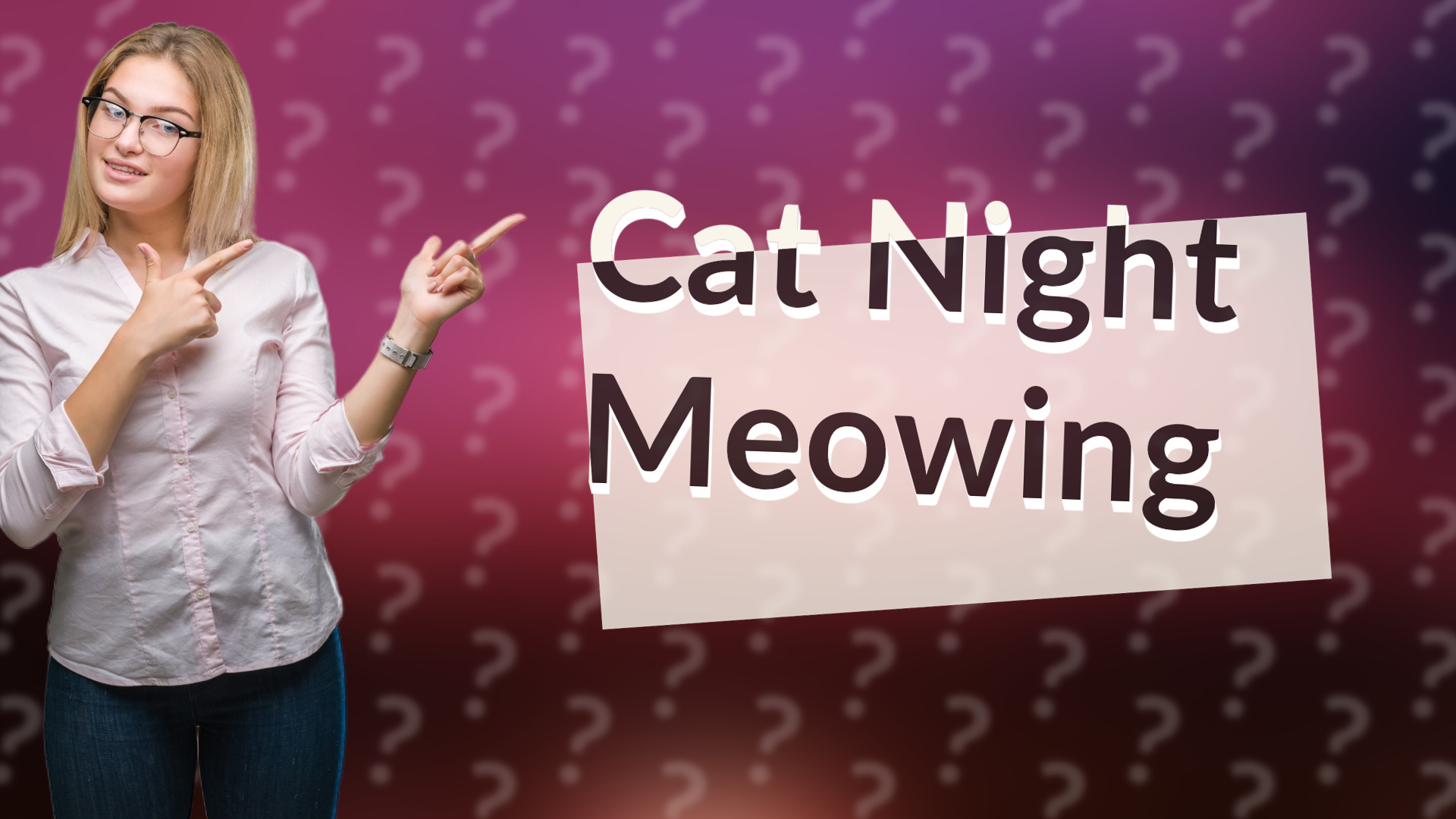 Cat Night Meowing
