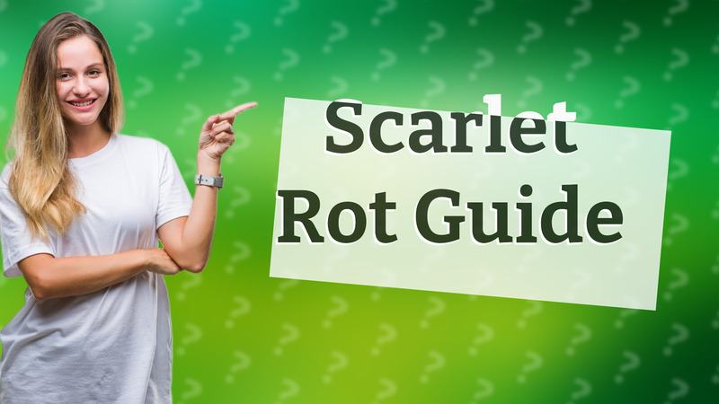 Scarlet Rot Guide
