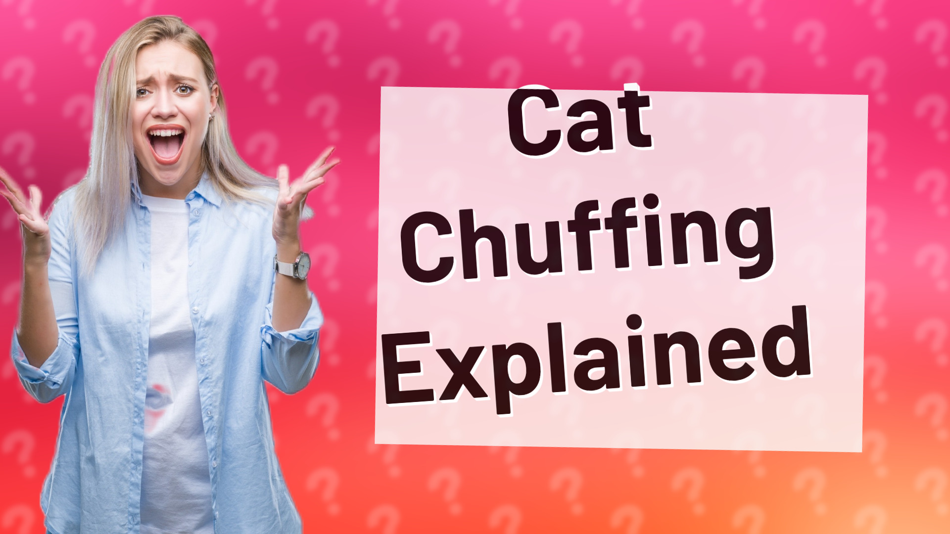 Cat Chuffing Explained