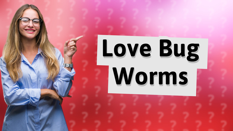 Love Bug Worms