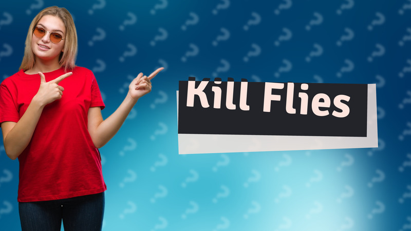 Kill Flies