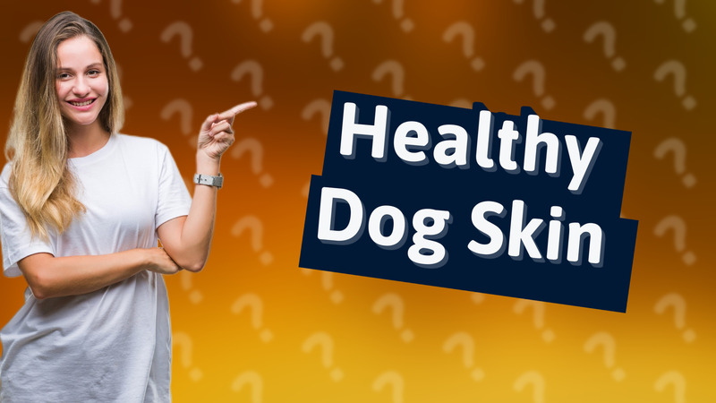 Healthy Dog Skin
