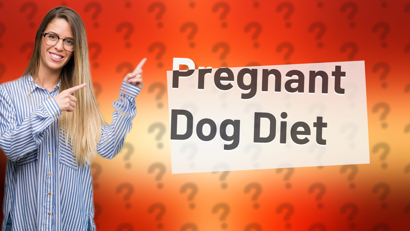 Pregnant Dog Diet