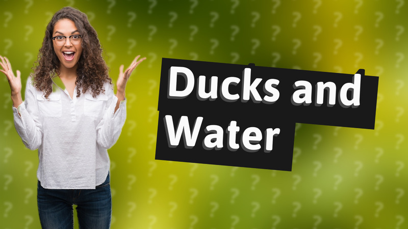 Ducks and Water