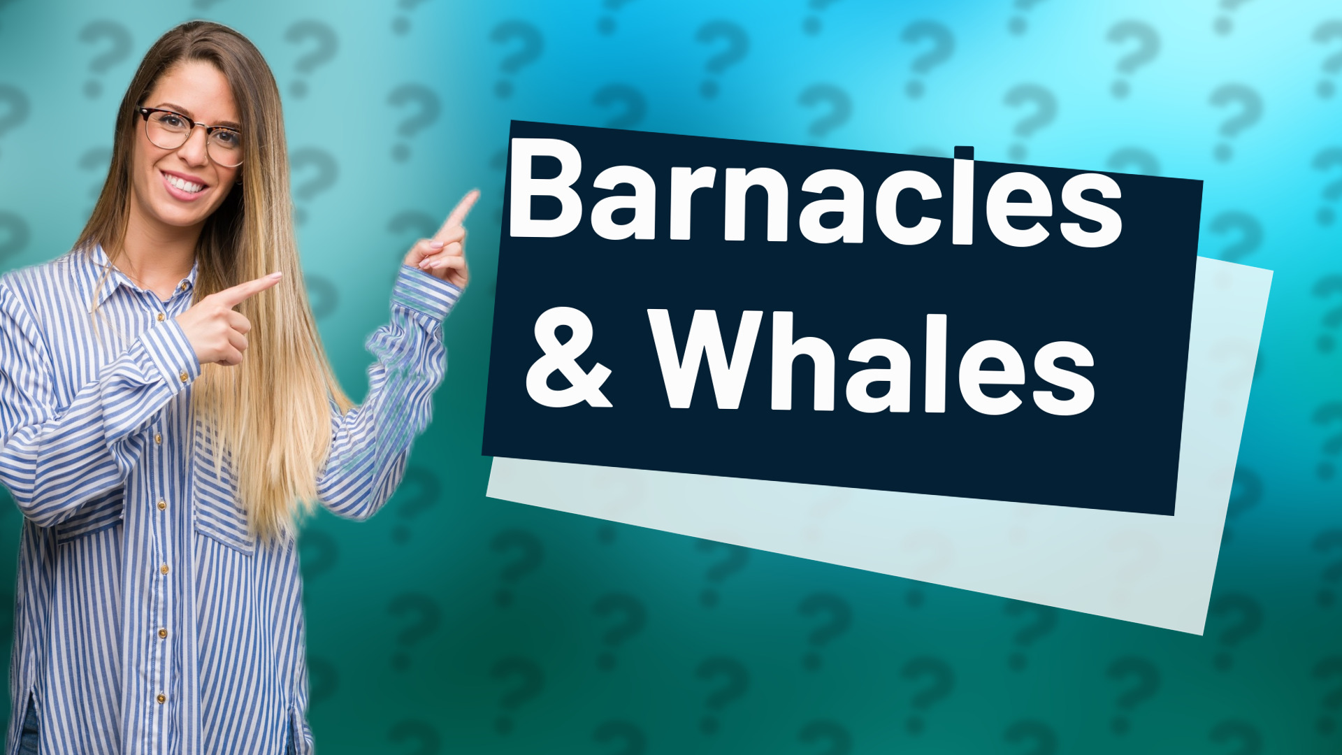 Barnacles & Whales