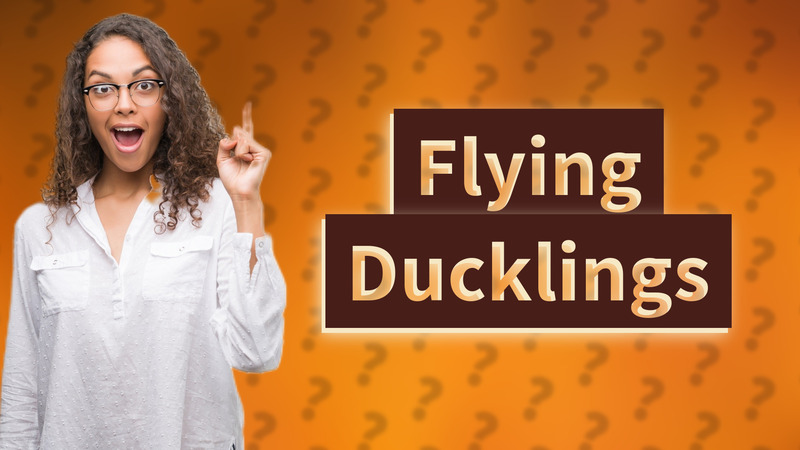 Flying Ducklings