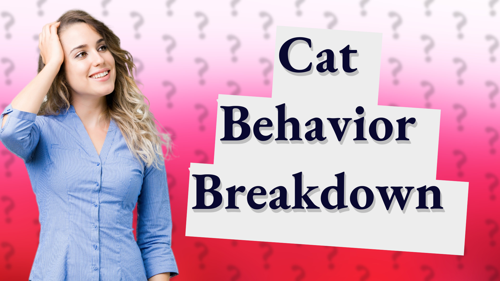 Cat Behavior Breakdown