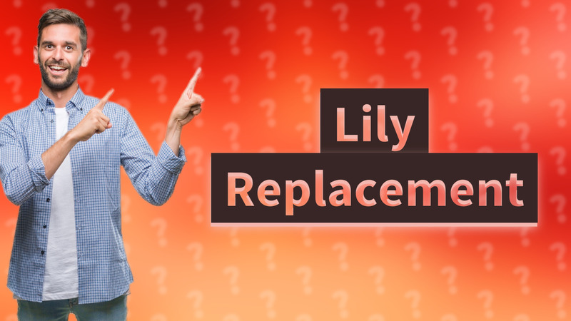 Lily Replacement