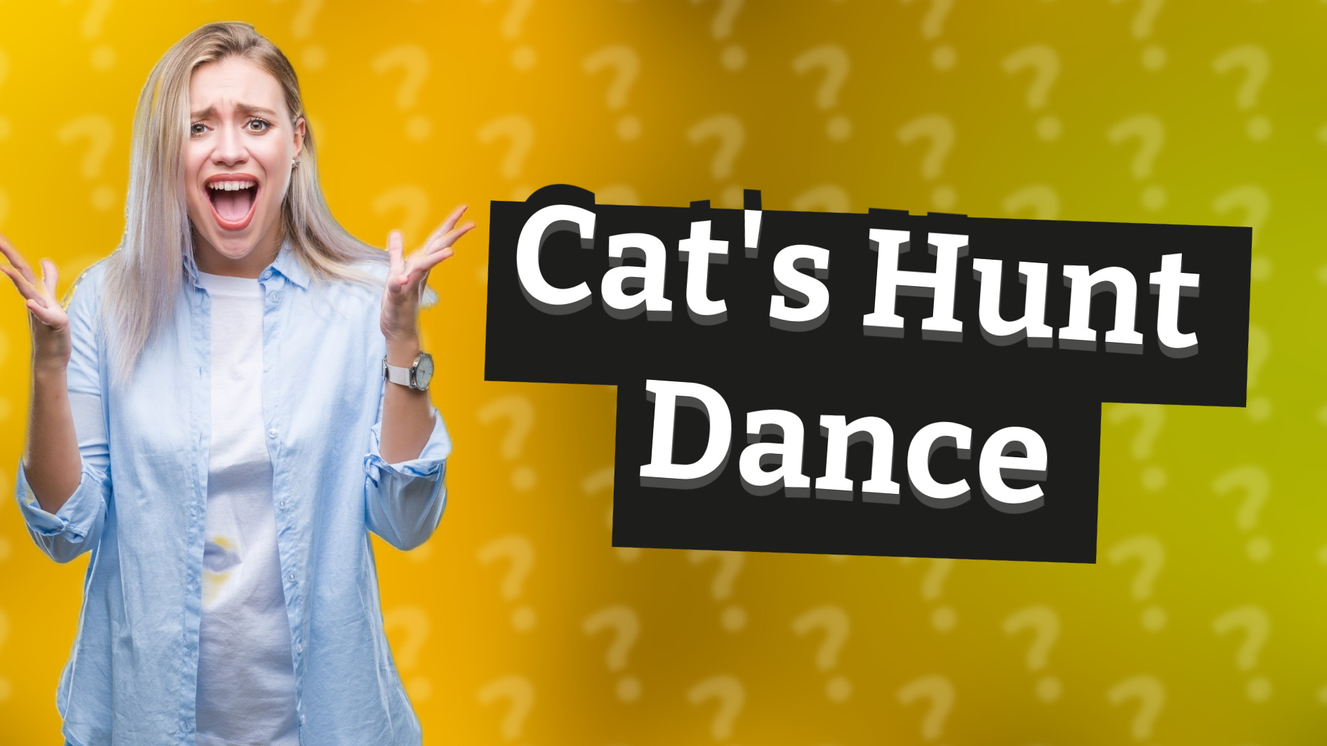 Cat's Hunt Dance