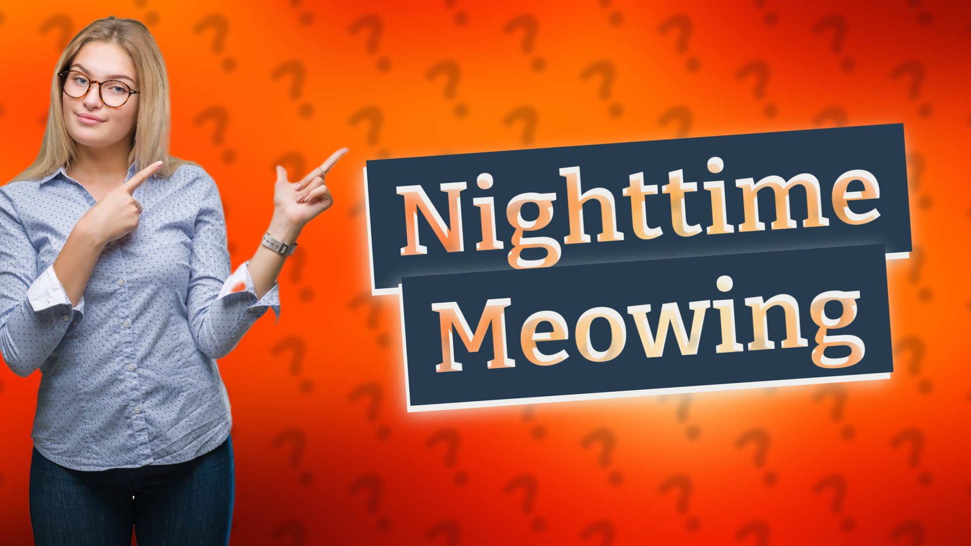 Nighttime Meowing
