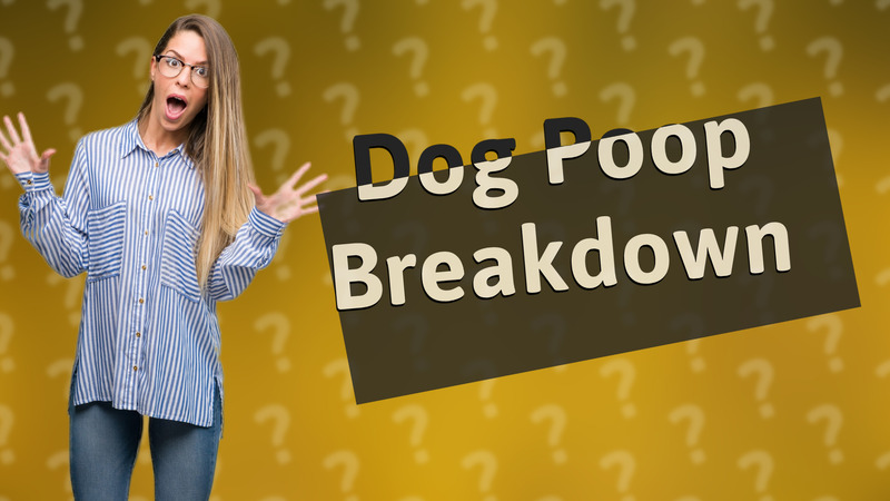 Dog Poop Breakdown