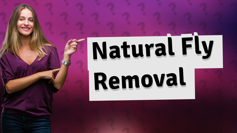 Natural Fly Removal