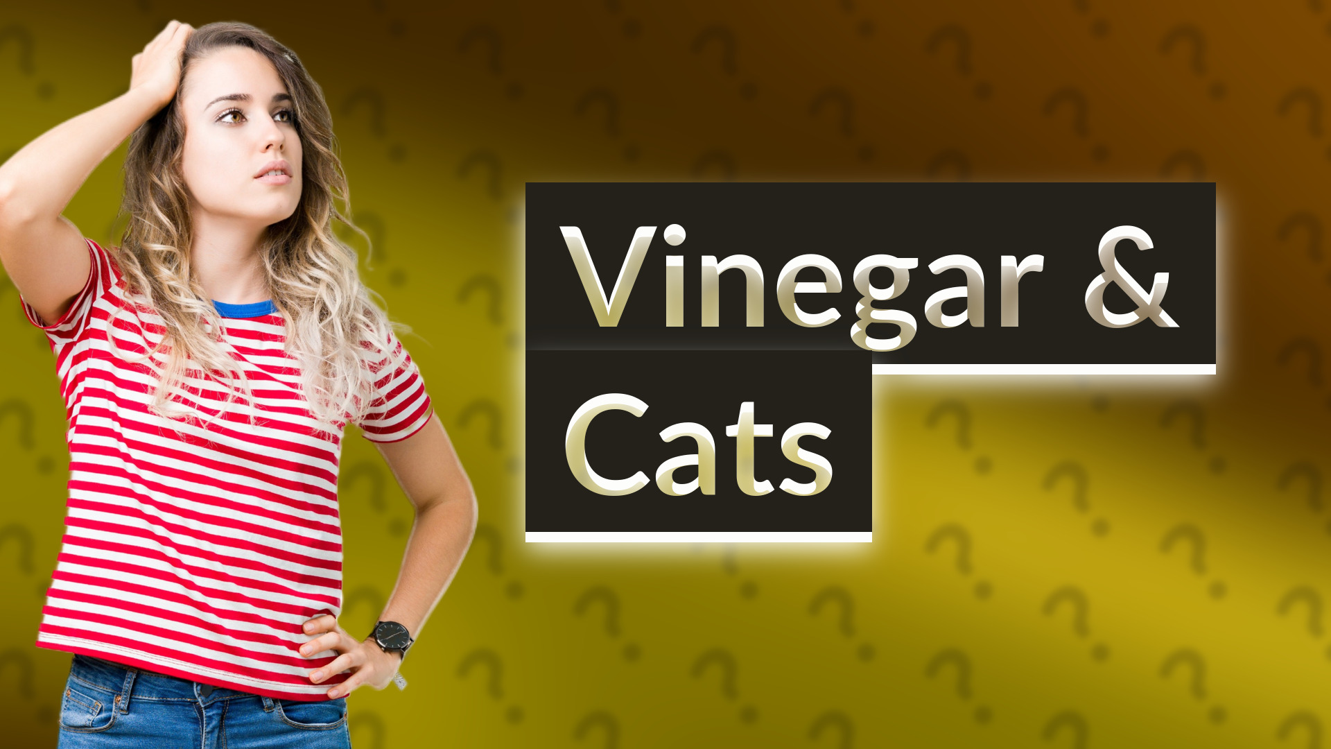 Vinegar & Cats