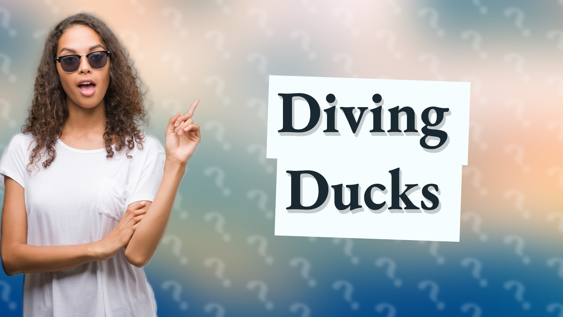 Diving Ducks