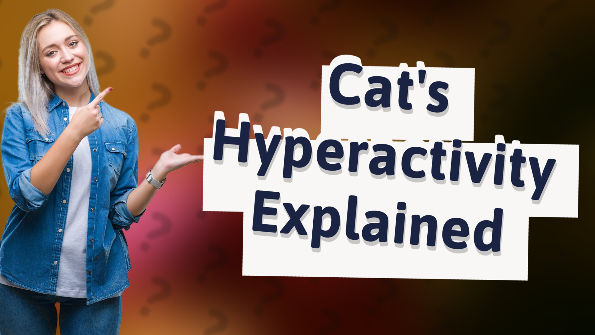 Cat's Hyperactivity Explained