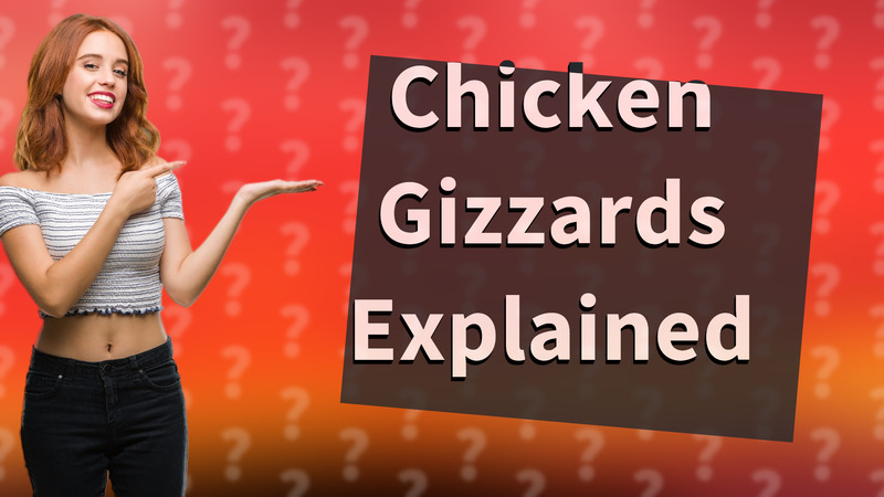 Chicken Gizzards Explained