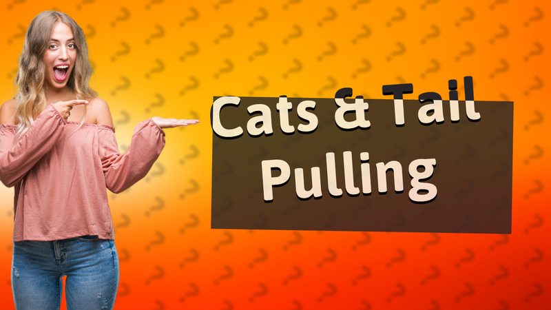 Cats & Tail Pulling