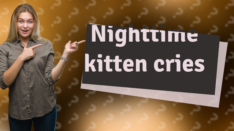 Nighttime kitten cries