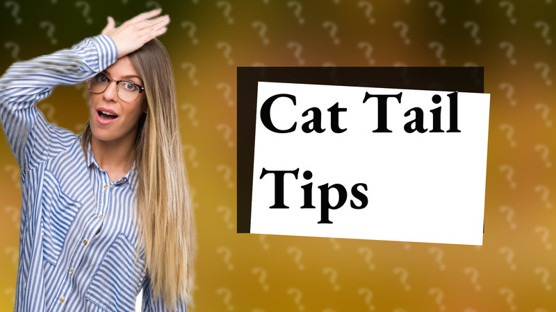 Cat Tail Tips