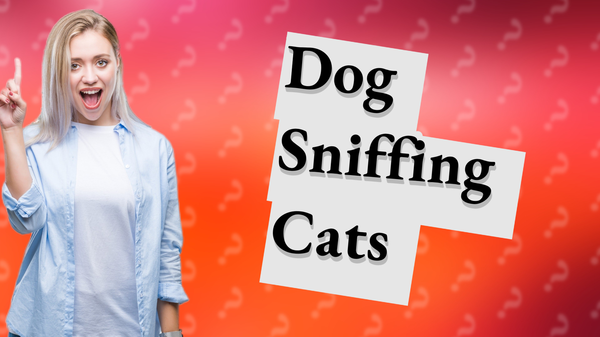 Dog Sniffing Cats