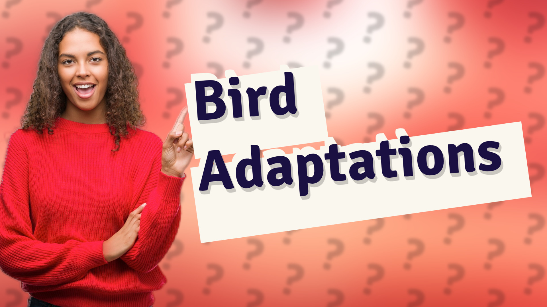 Bird Adaptations
