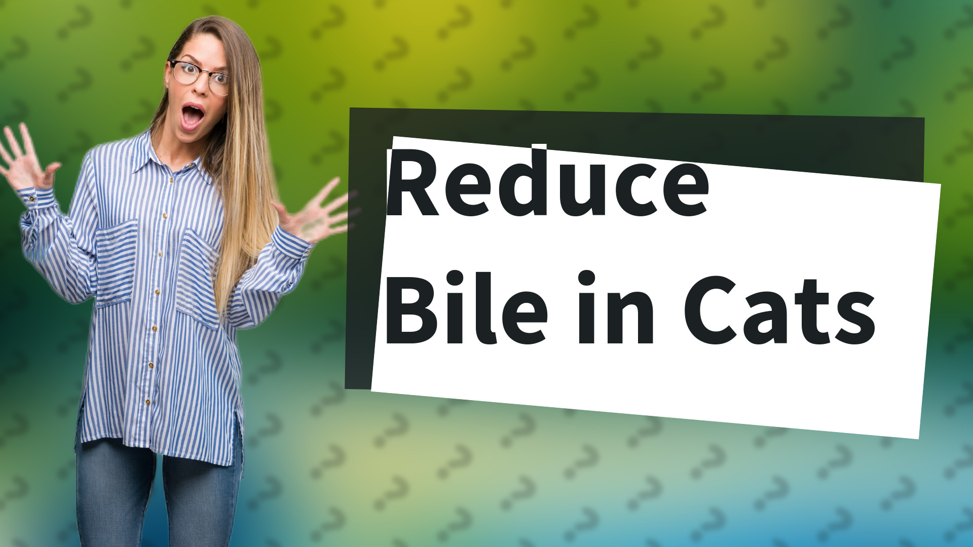 Reduce Bile in Cats