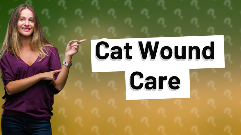 Cat Wound Care