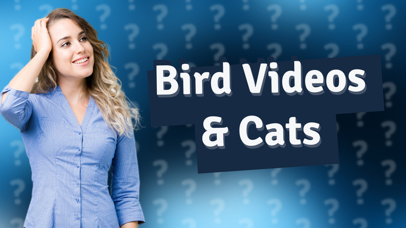 Bird Videos & Cats