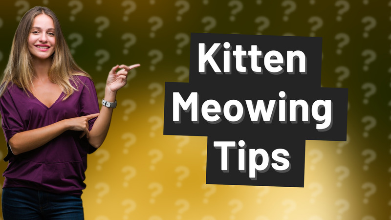 Kitten Meowing Tips