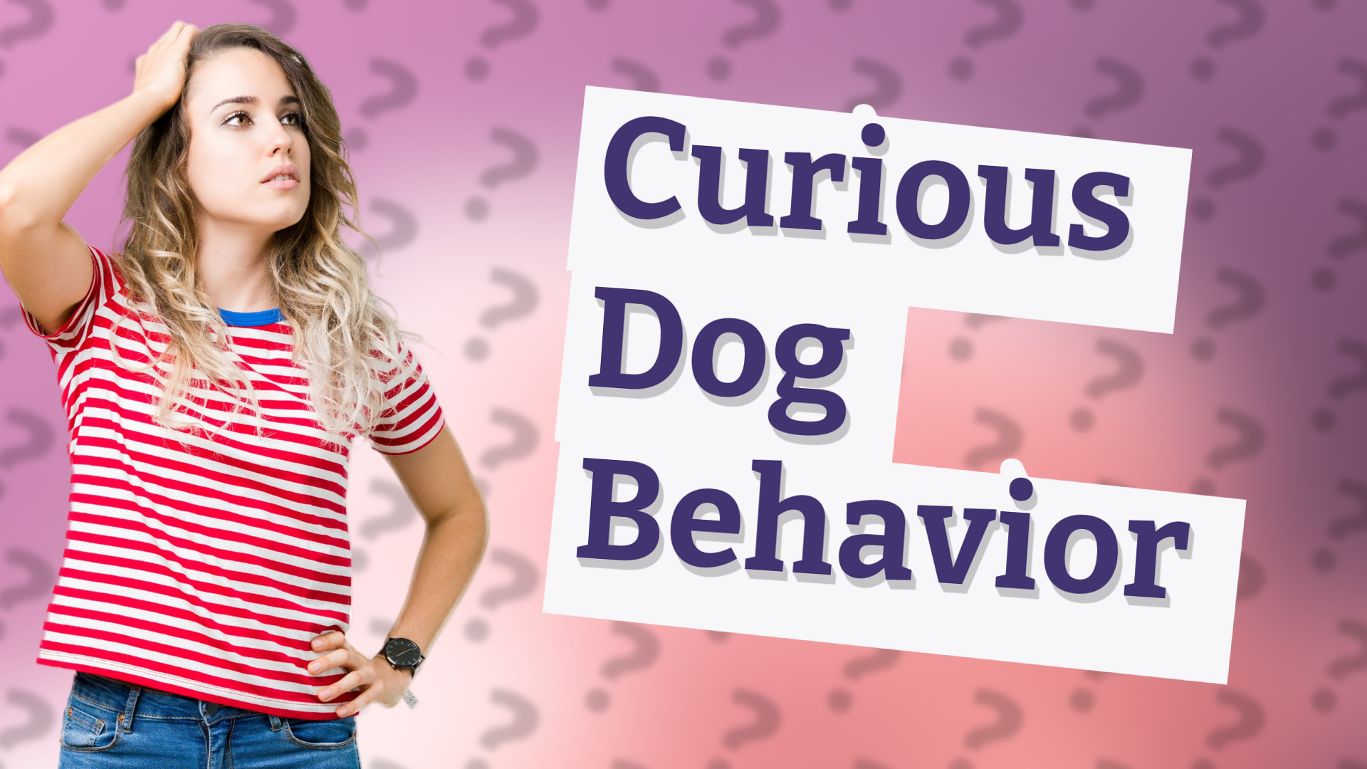 Curious Dog Behavior