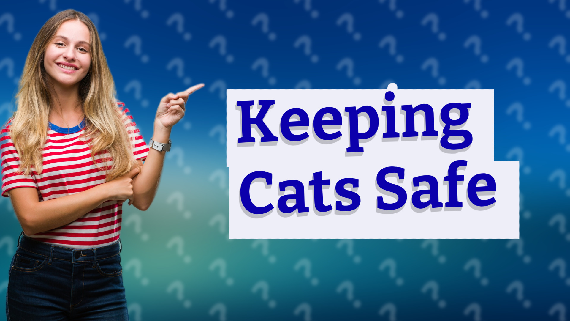 Keeping Cats Safe