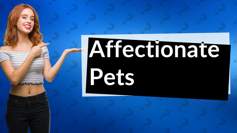 Affectionate Pets