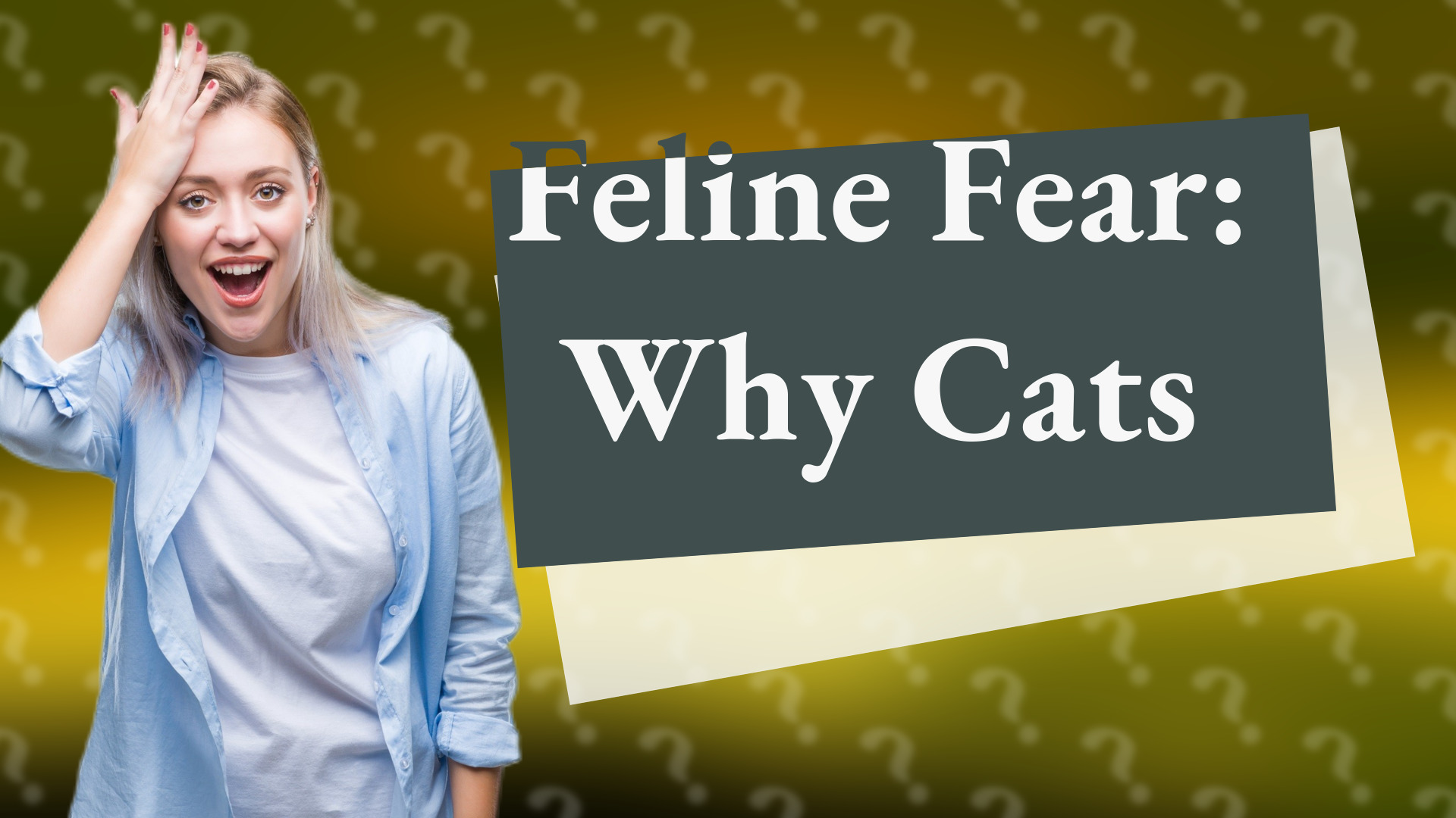 Feline Fear: Why Cats
