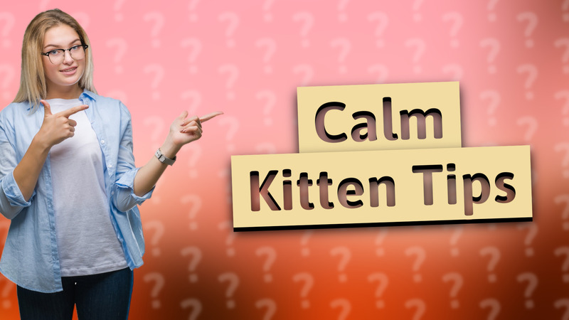 Calm Kitten Tips