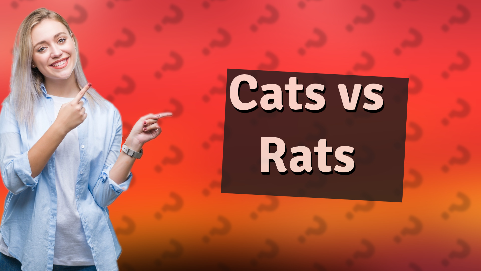 Cats vs Rats