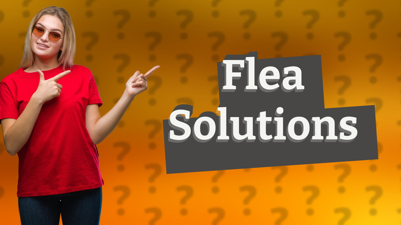 Flea Solutions