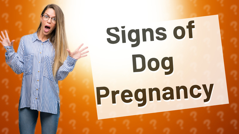 Signs of Dog Pregnancy