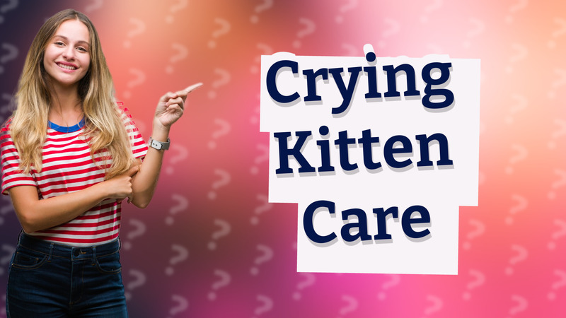 Crying Kitten Care