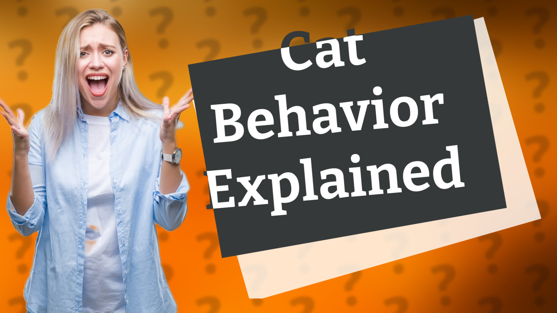 Cat Behavior Explained